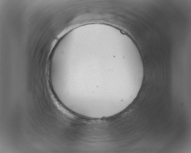 X0000076331526200610201651