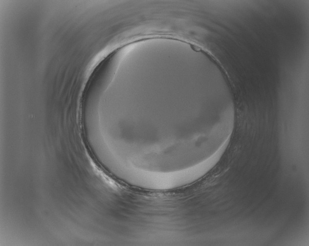 X0000076331527200610201651