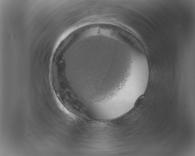 X0000076331528200610201651