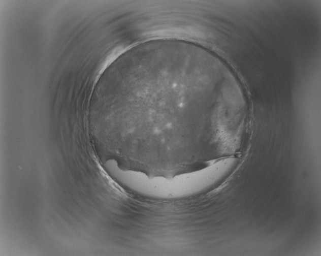 X0000076331529200610201651