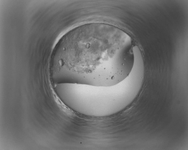 X0000076331530200610201651