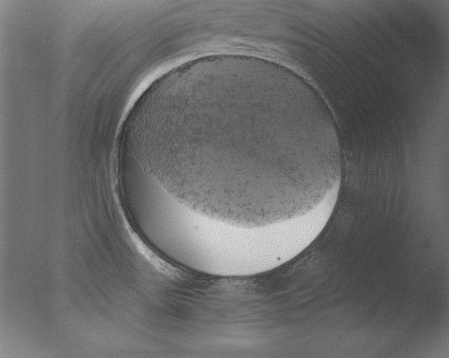 X0000076331531200610201651