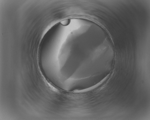 X0000076331533200610201651