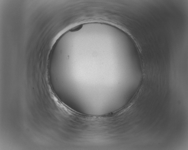 X0000076331534200610201651