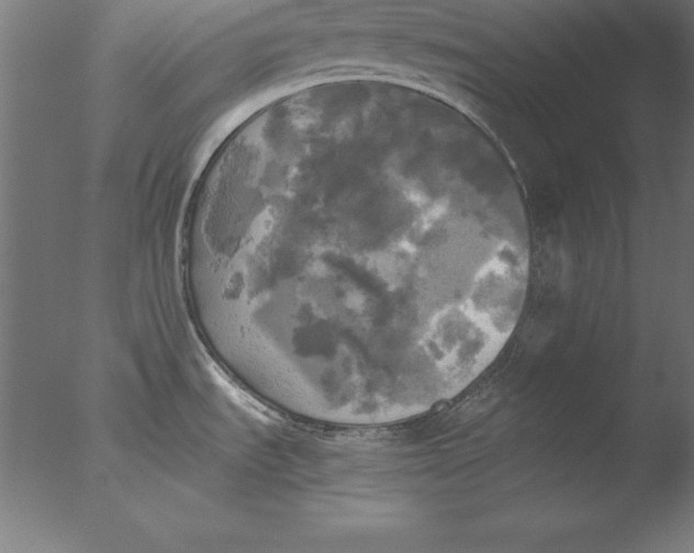 X0000076331535200610201651