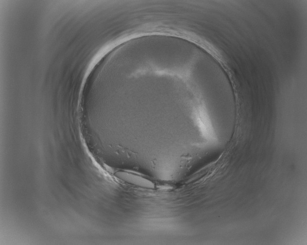 X0000076331536200610201651