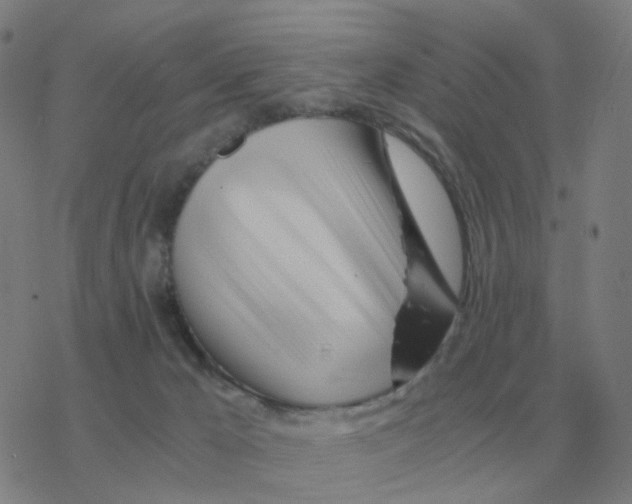X0000076330029200610272040
