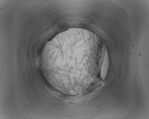 X0000076330033200610272040