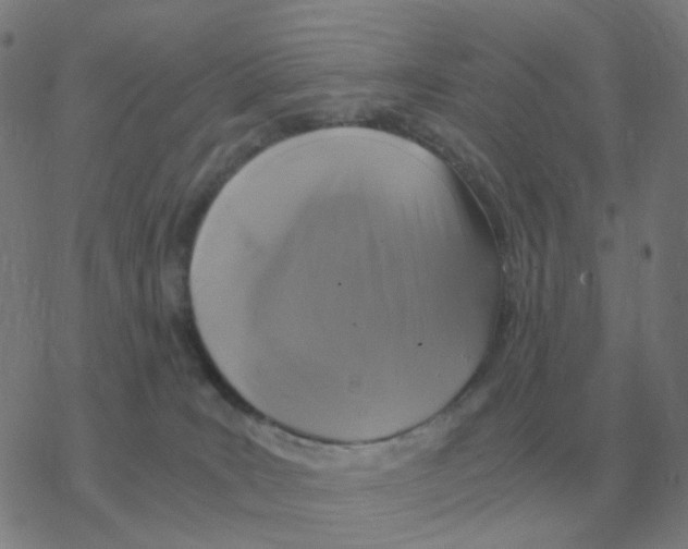 X0000076330035200610272040