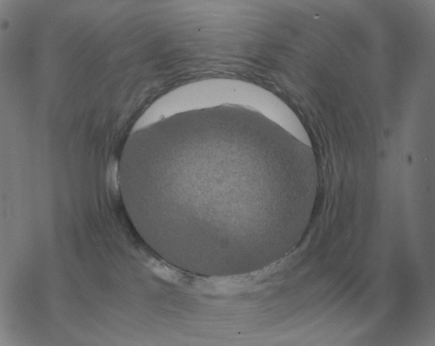 X0000076330041200610272040