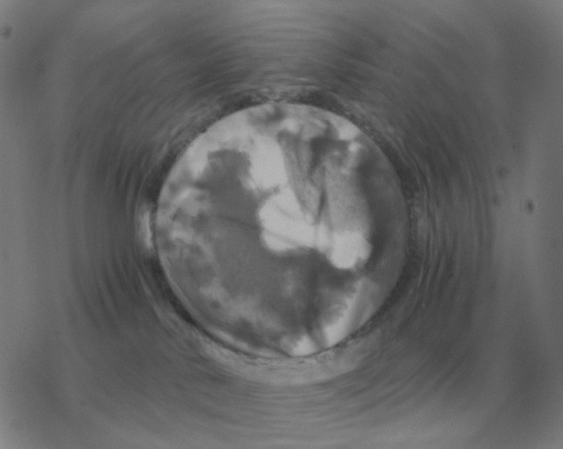X0000076330042200610272040