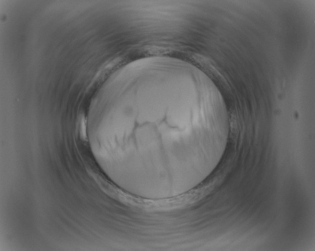 X0000076330046200610272040