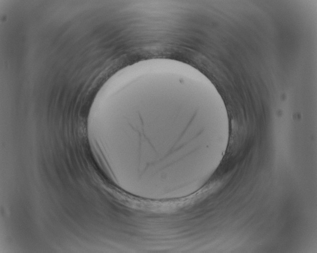 X0000076330048200610272040