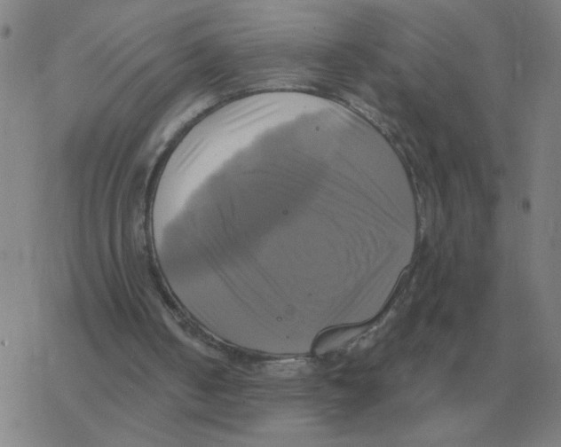 X0000076330050200610272039