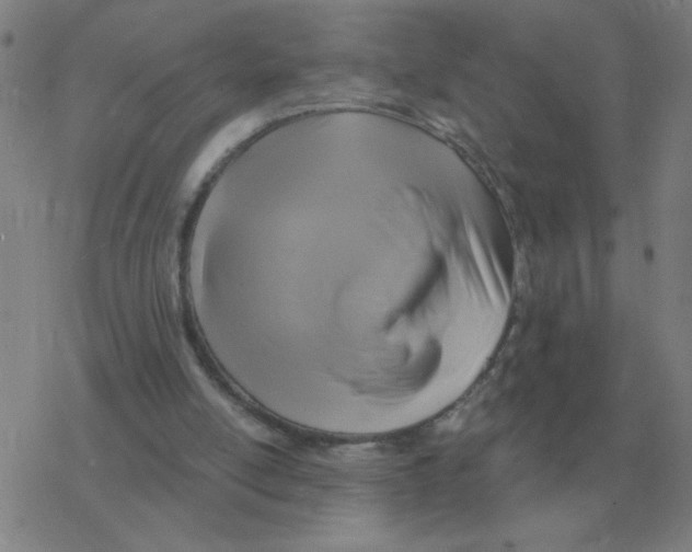 X0000076330054200610272039