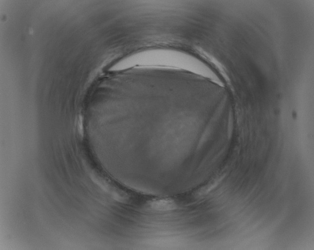X0000076330067200610272040