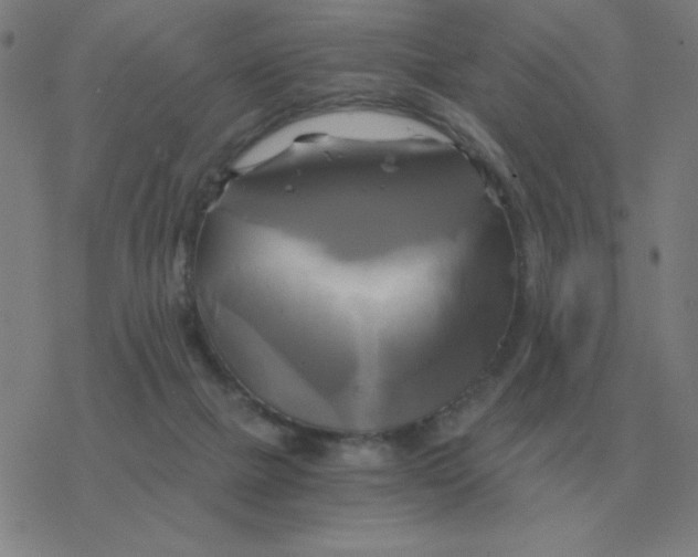 X0000076330073200610272040