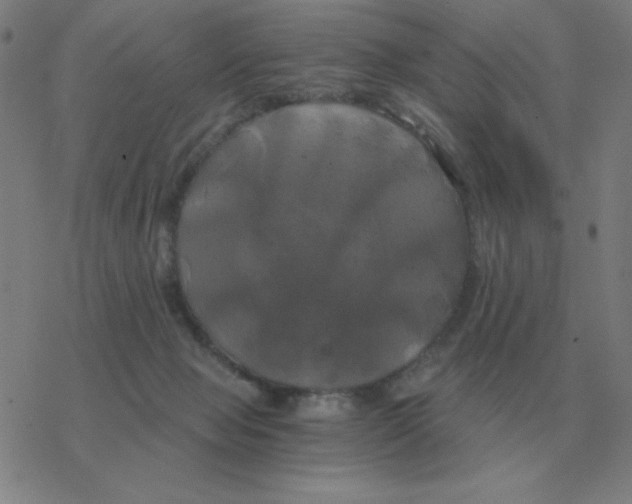 X0000076330077200610272040