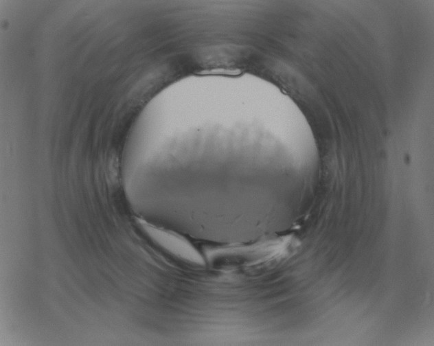 X0000076330081200610272040