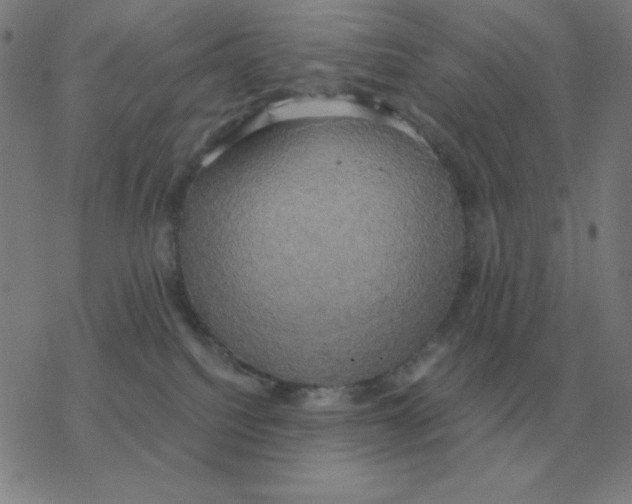 X0000076330088200610272040