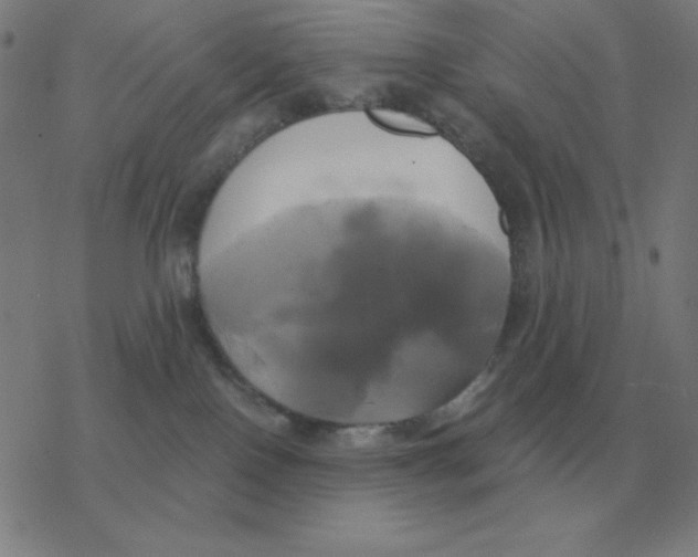 X0000076330090200610272040