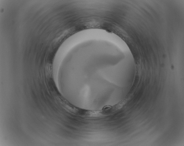 X0000076330093200610272040
