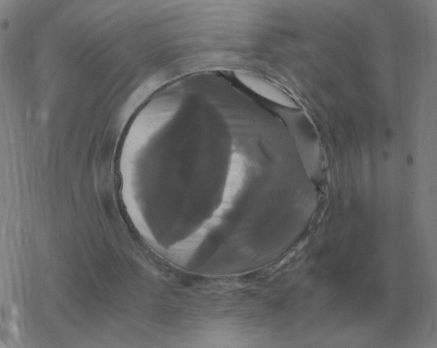 X0000076330099200610272039
