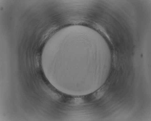 X0000076330114200610272039