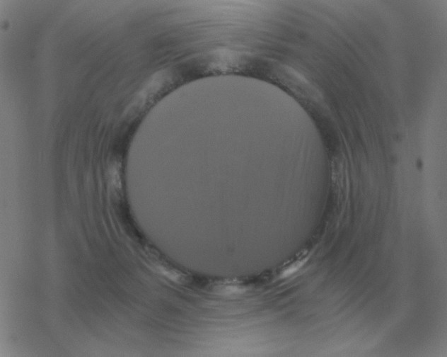 X0000076330127200610272039