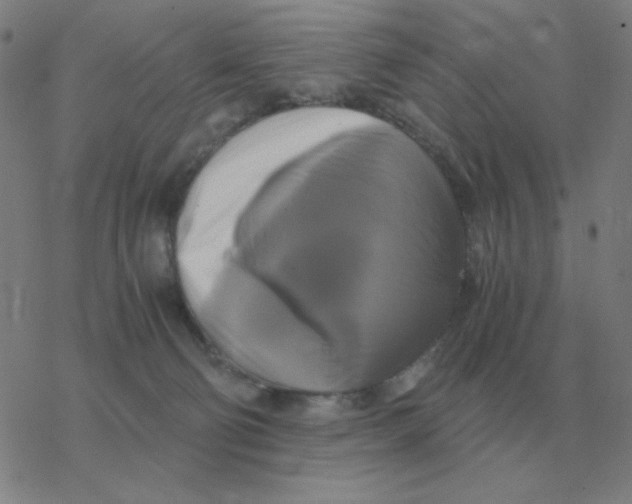 X0000076330130200610272039