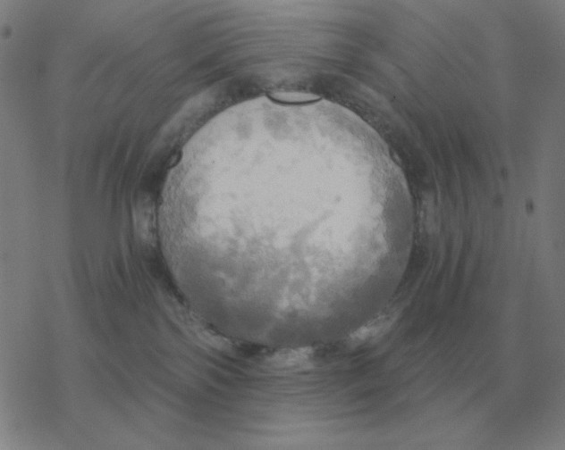 X0000076330138200610272039