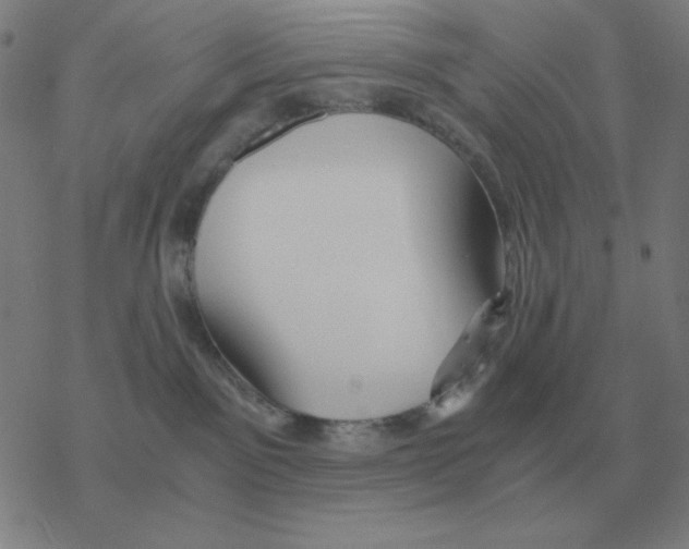 X0000076330141200610272039