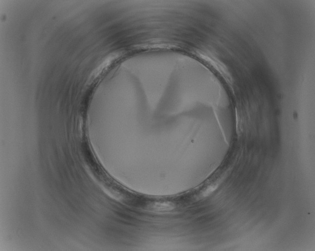 X0000076330157200610272038
