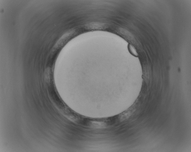 X0000076330167200610272038