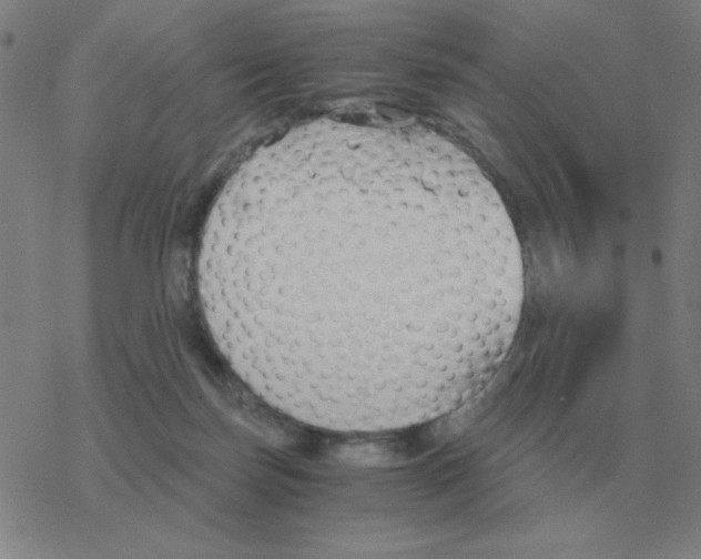 X0000076330171200610272038