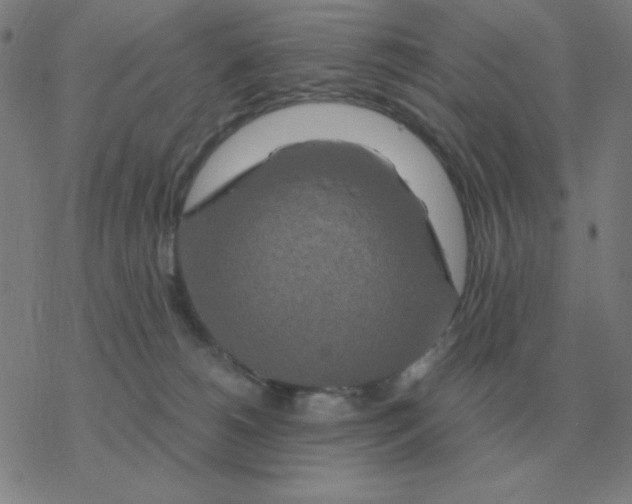 X0000076330180200610272038