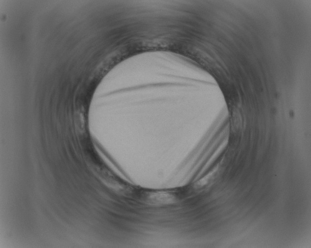 X0000076330183200610272038