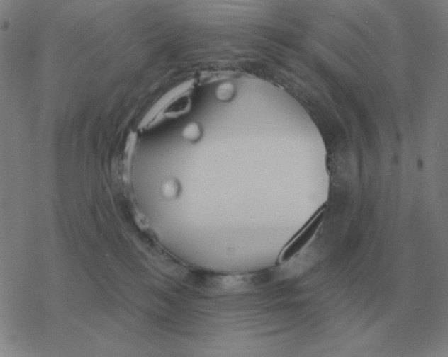 X0000076330184200610272038