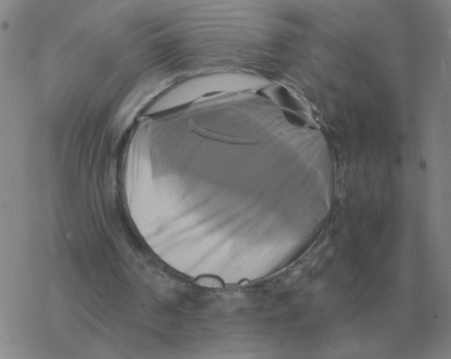 X0000076330194200610272038