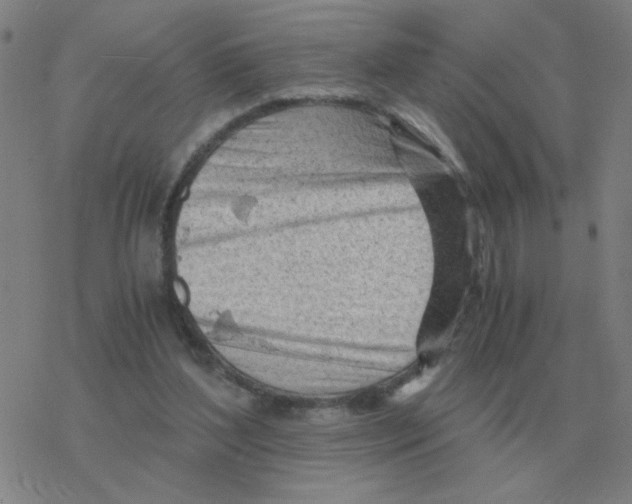 X0000076330204200610272038