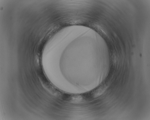 X0000076330214200610272037