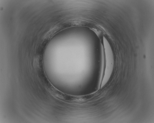 X0000076330217200610272037