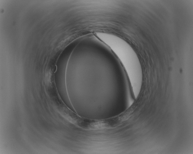 X0000076330219200610272037