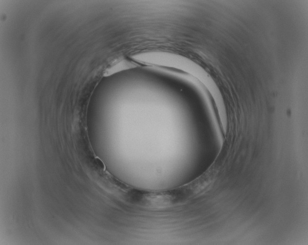 X0000076330221200610272037
