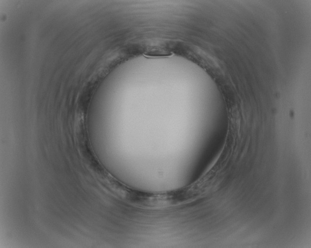 X0000076330225200610272037