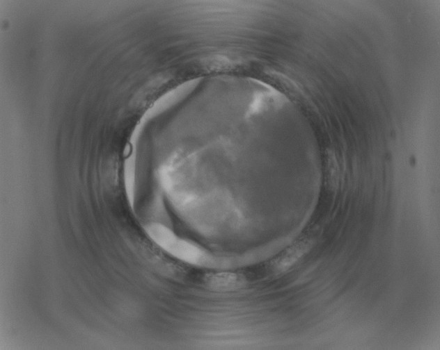 X0000076330230200610272037