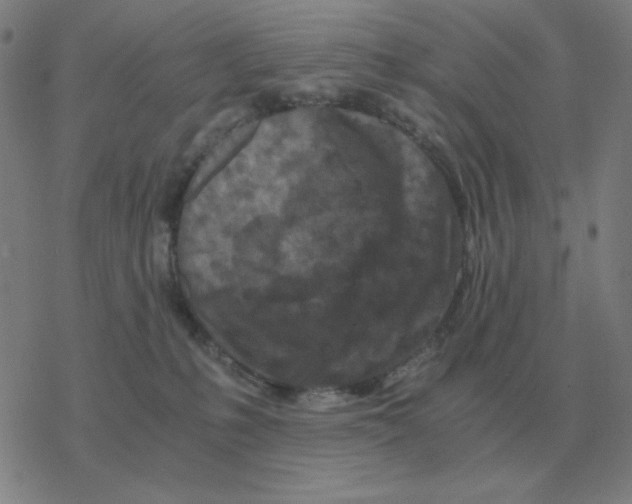 X0000076330231200610272037