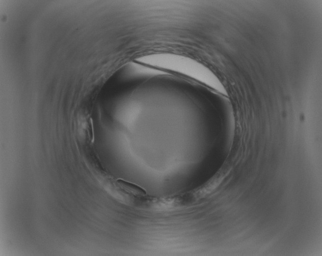 X0000076330235200610272037