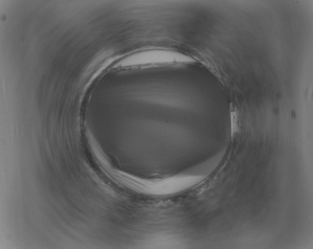 X0000076330243200610272036