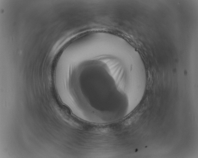 X0000076330247200610272036